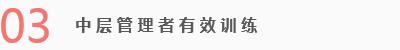 1.帮助客户打造属于自己组织的中层管理干部团队，从思想意识到工作态度、从战略意图领会到岗位技能提升、从角色转换到管理理念提升； 2.我们会以客观实际的态度完成内部中间力量的团队建设，有效打造具备创新能力、执行能力的干部队伍； 3.协助企、事业单位深化内部文化意识，阶段性提升该部分人员的综合素质与职业修为； 4.阶段性的向客户提供学员的进修、学习成绩，及时发现问题、解决问题，此类培训一般为期较长，以求达到实用、有效； 5.课题设计均从客户实际需求出发，做好前期调研及方案设计工作，方案实际均从长远队伍建...